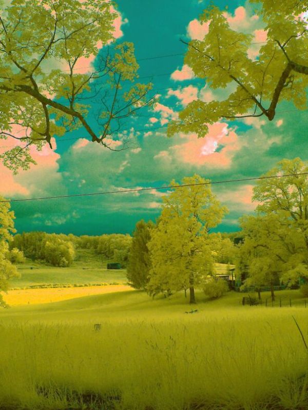 Schubertgary Kimesmeadow