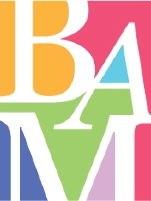 Bam Icon Color Copy 2