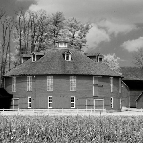 Schubert Website Image