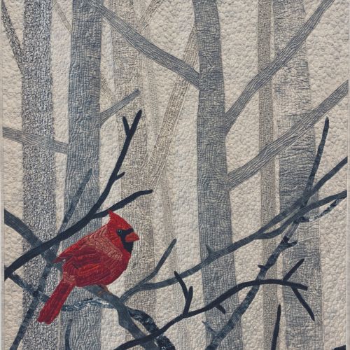 Staverchristine Midwinter Visitor Jpg