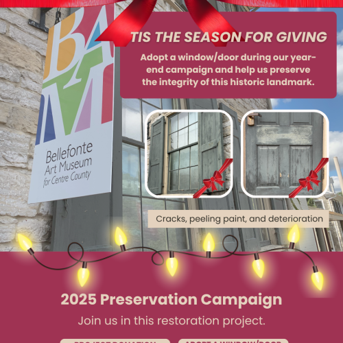 Preservation Campaign 3