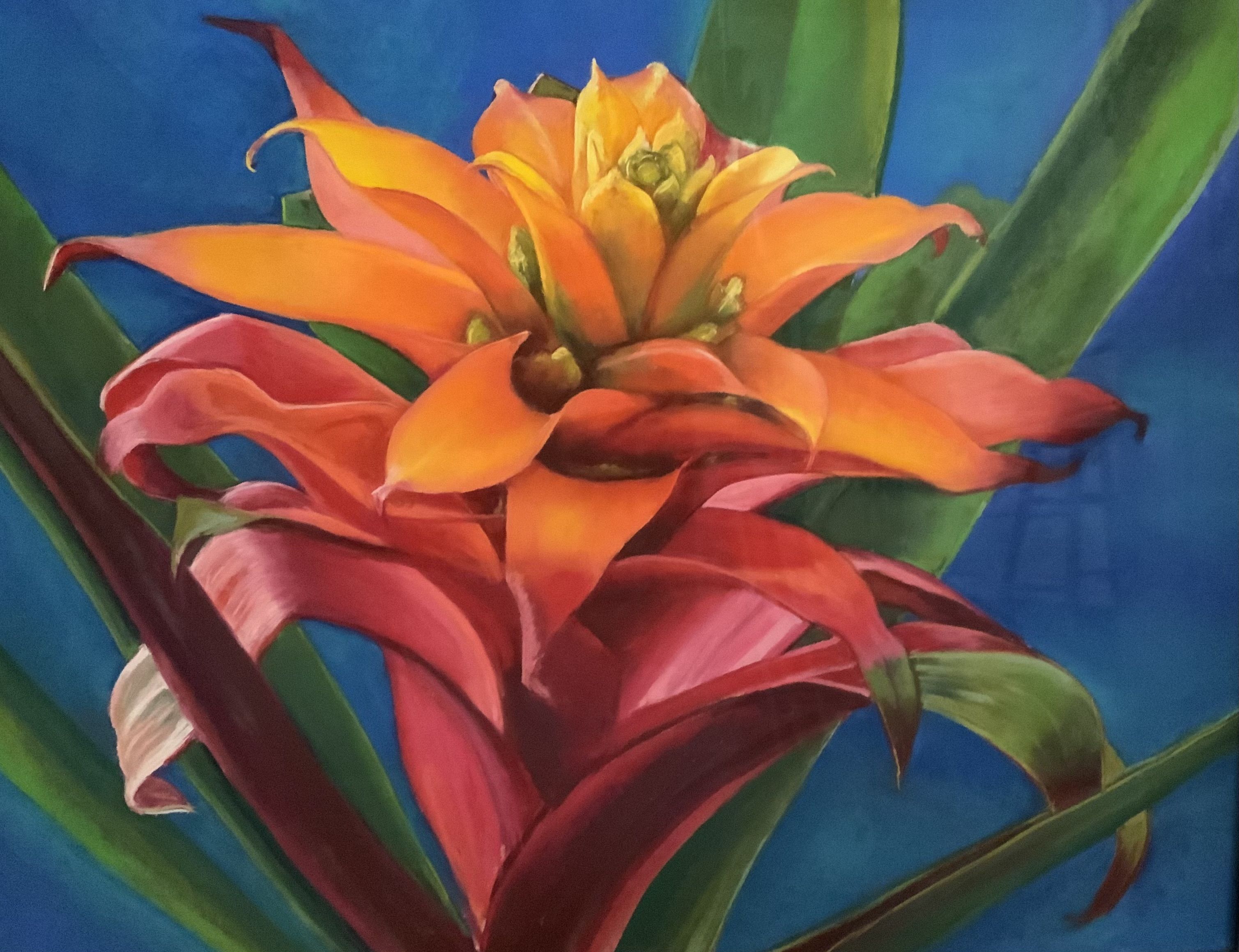 Bromeliad