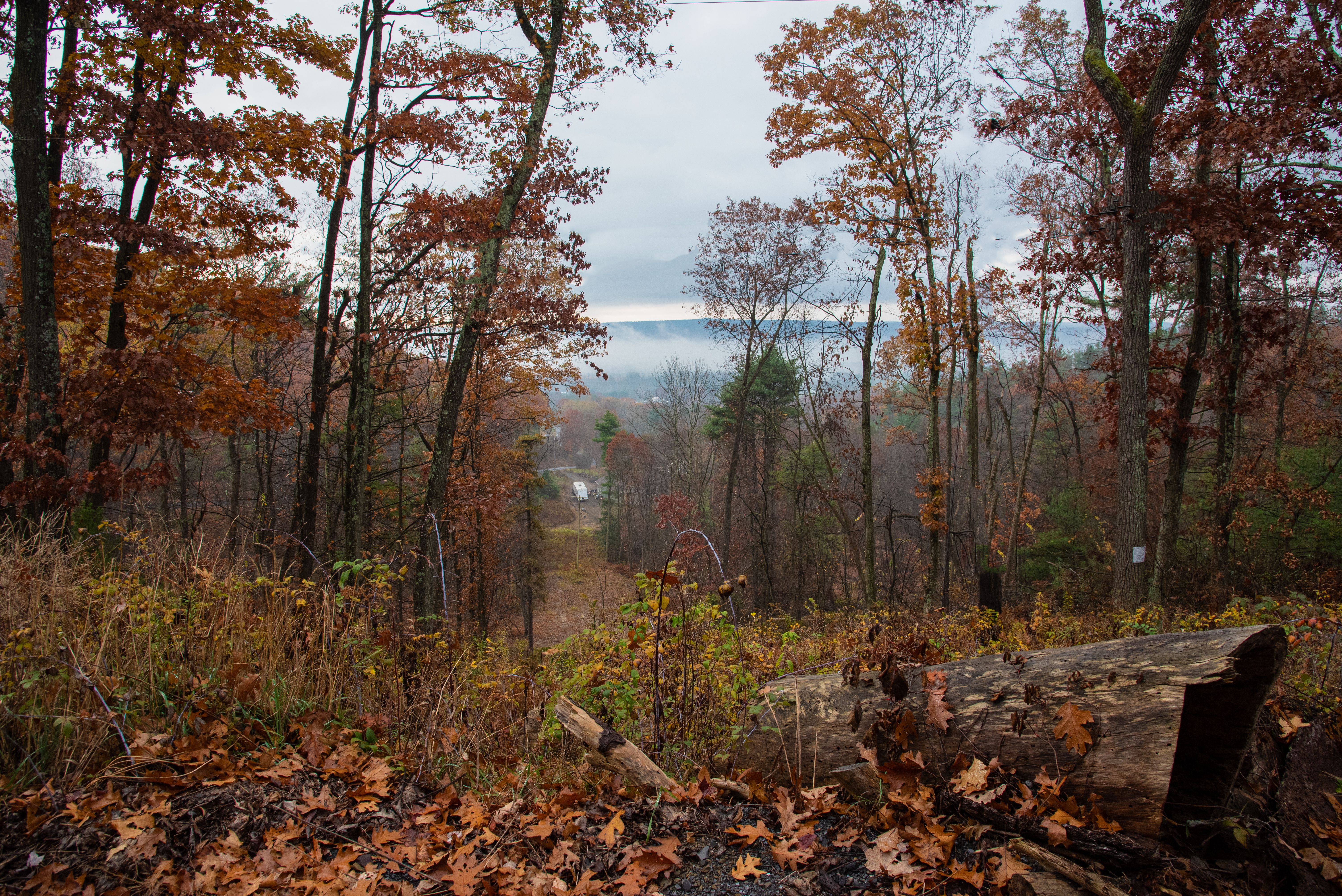 Cynthiaayoubharris Downinthevalley