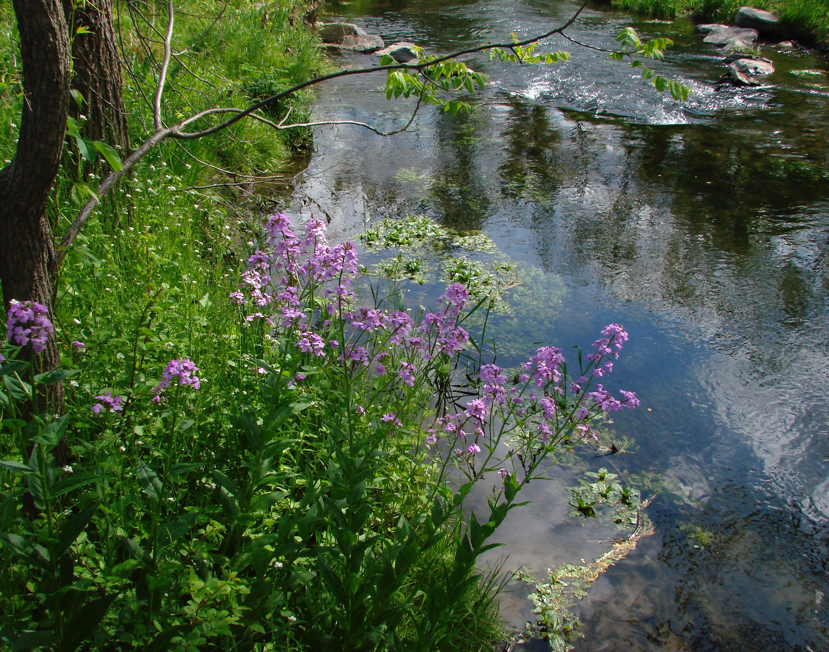 Dsc06602