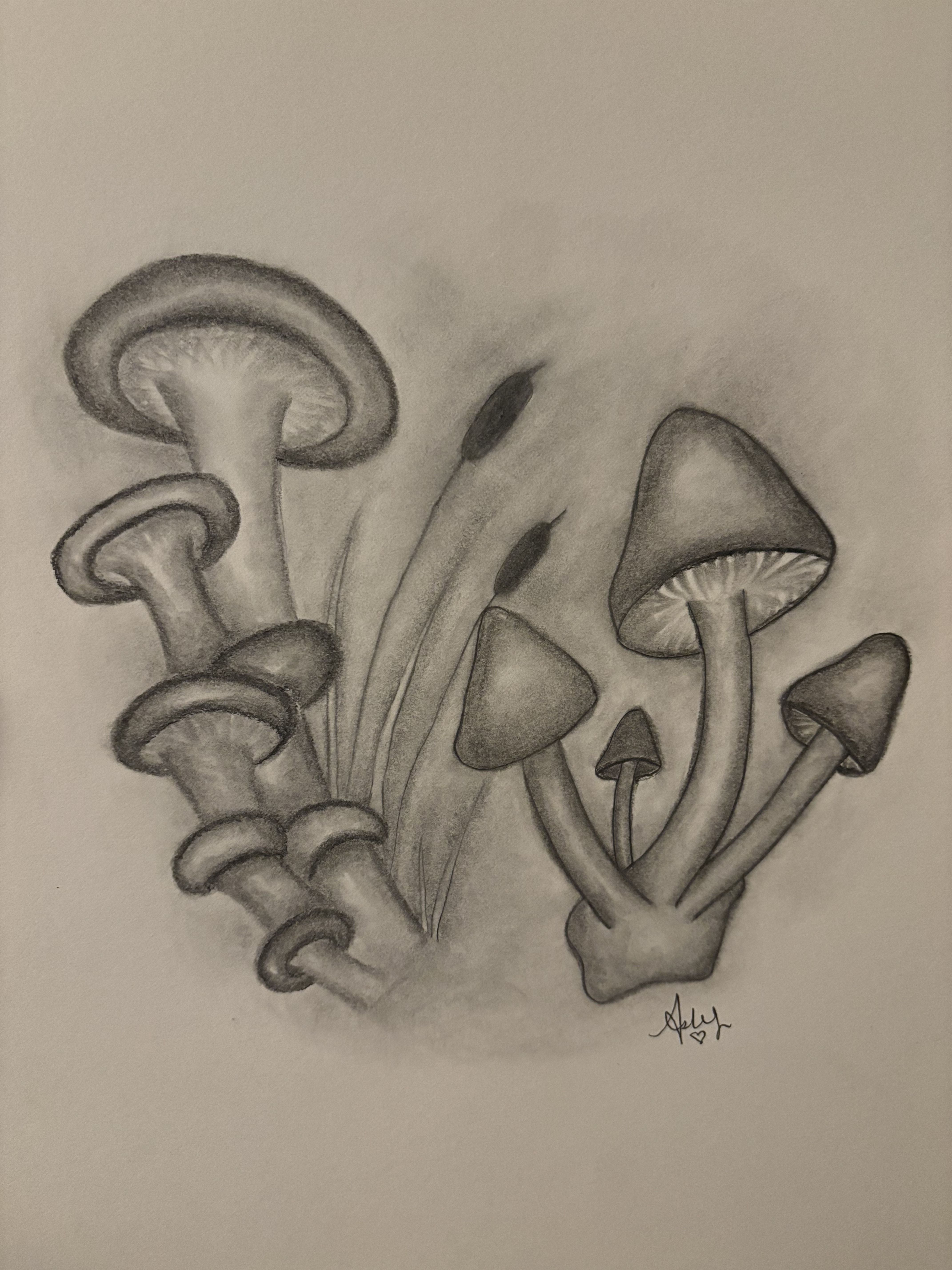 Mushrooms