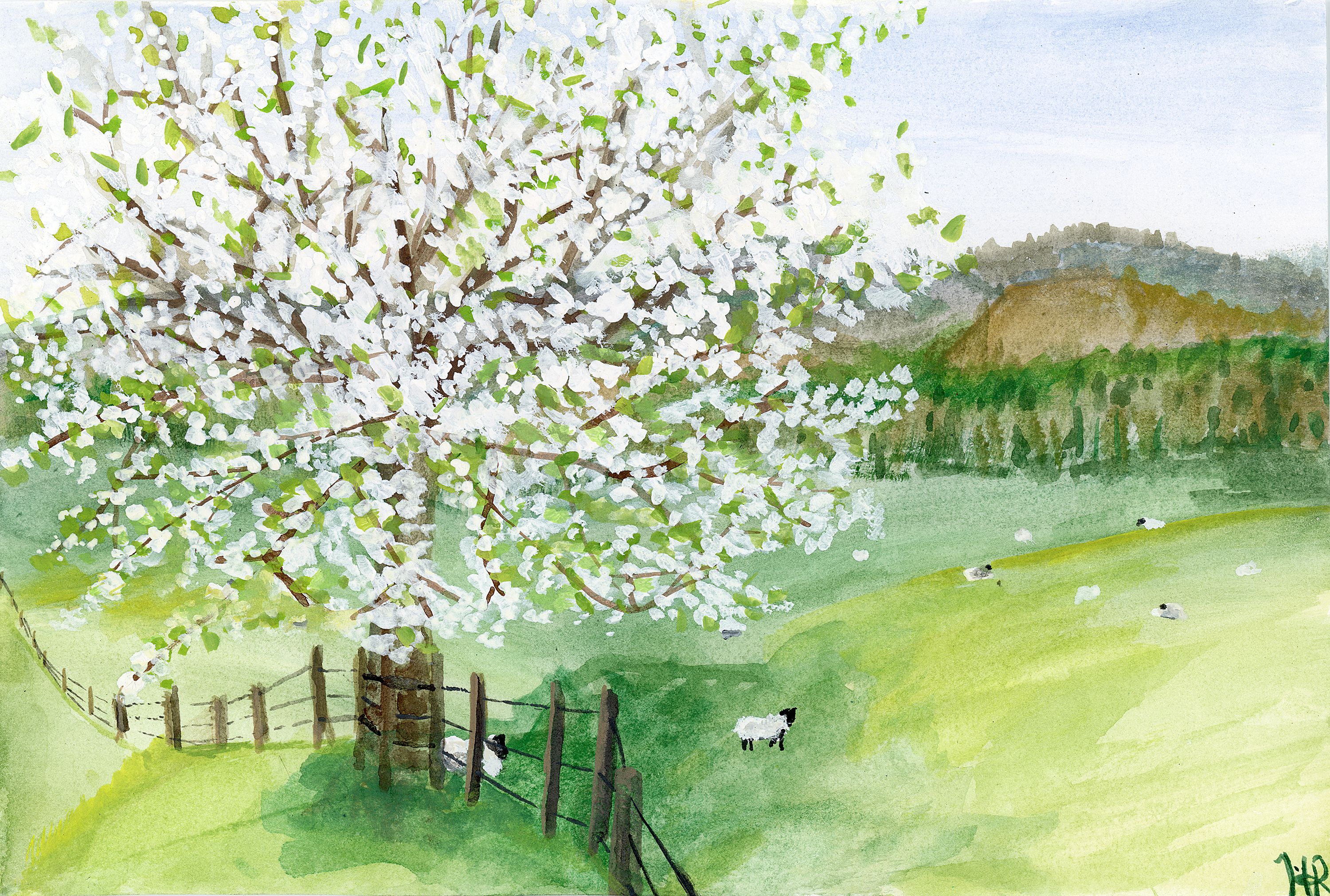 Reesetreesheep