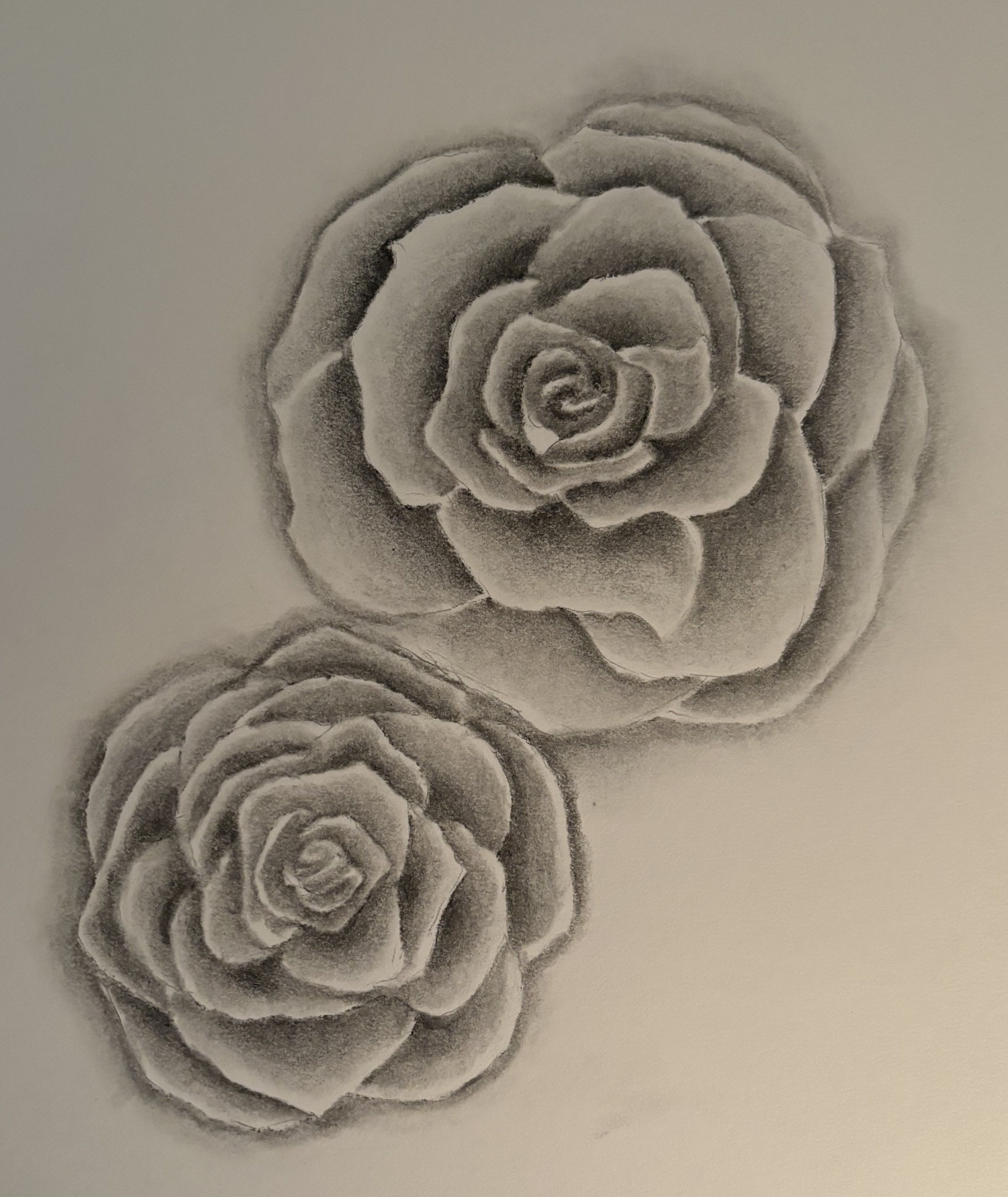 Roses
