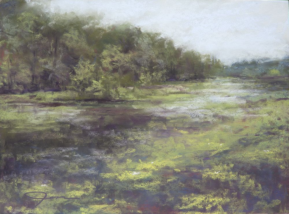Shueywetlandsshaverscreeklwr