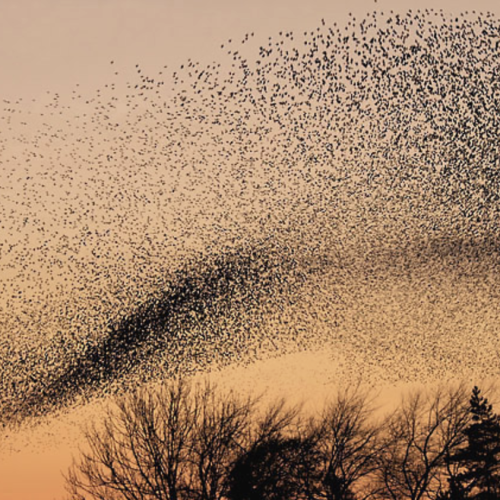 Screenshot 2026 02 12 At 2 38 37 Pm