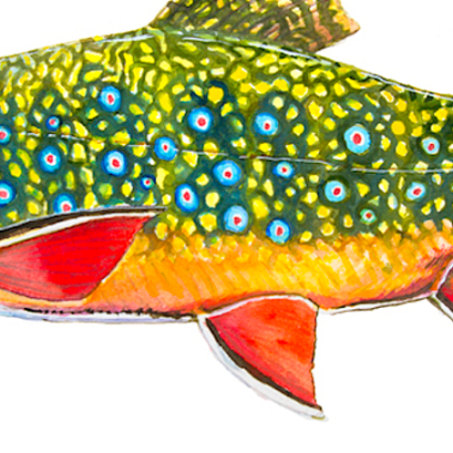 Watercolors By Nate Wilson 